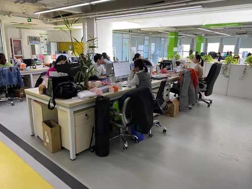 上地西二旗中關村軟件園1065平精裝辦公樓 即租即用，助力軟件開發企業高效啟航